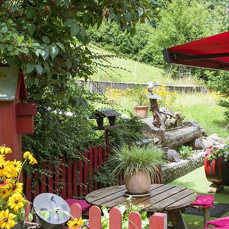Gite Chez Mimie Breitenbach-Haut-Rhin Εξωτερικό φωτογραφία