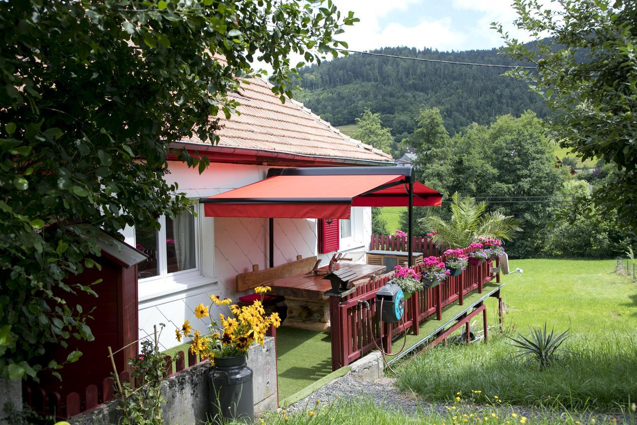 Gite Chez Mimie Breitenbach-Haut-Rhin Εξωτερικό φωτογραφία