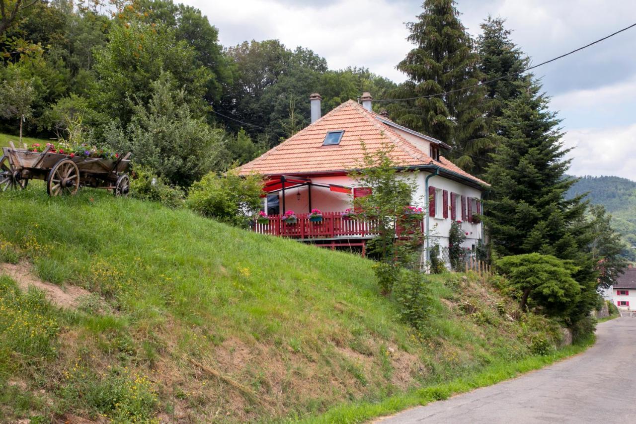 Gite Chez Mimie Breitenbach-Haut-Rhin Εξωτερικό φωτογραφία