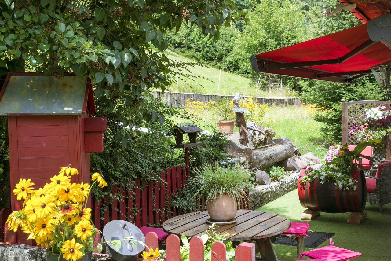 Gite Chez Mimie Breitenbach-Haut-Rhin Εξωτερικό φωτογραφία