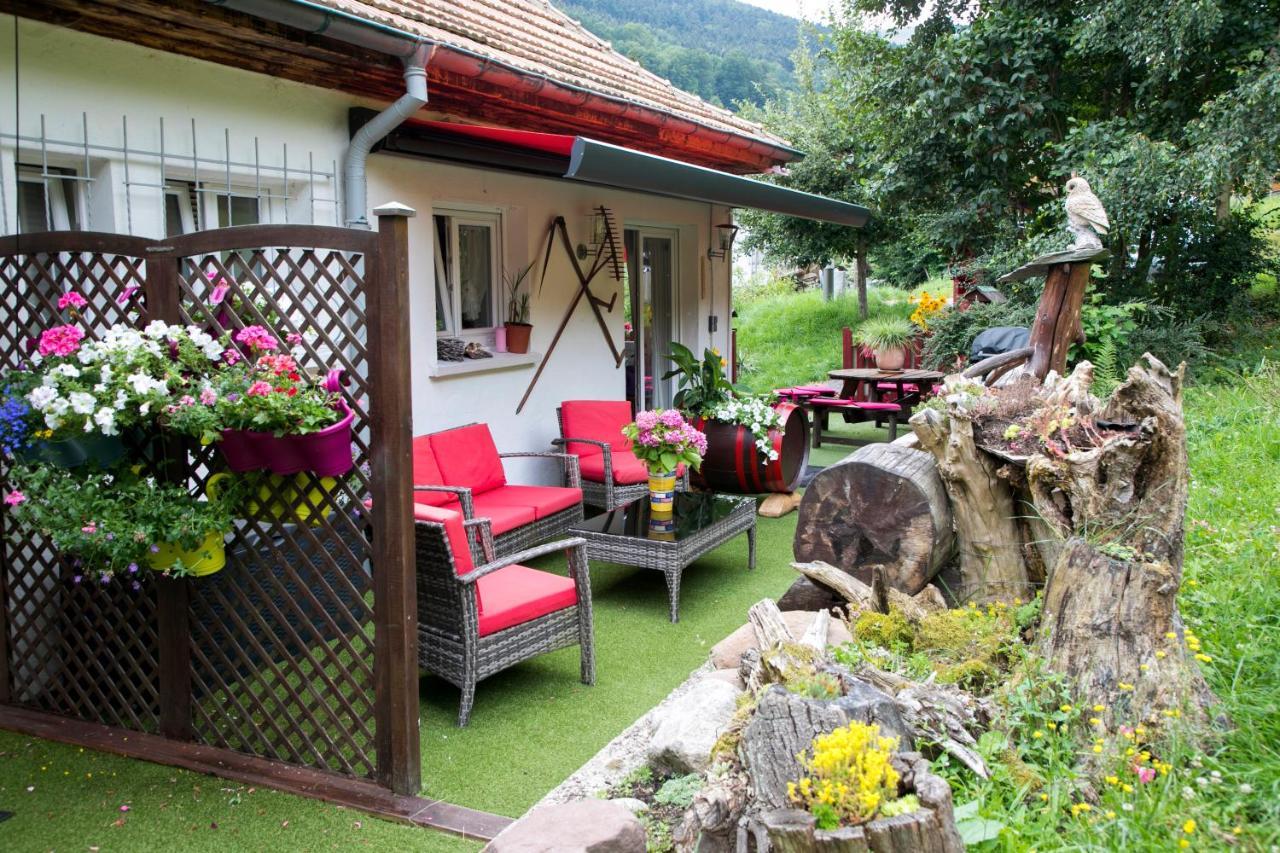 Gite Chez Mimie Breitenbach-Haut-Rhin Εξωτερικό φωτογραφία